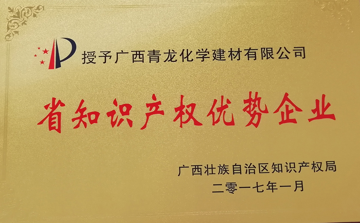广西知识产权优势企业
