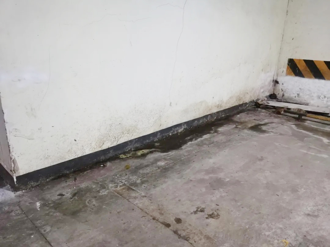 防水层泛白？别急着铲！90%的人都不知道的真正原因在这里！