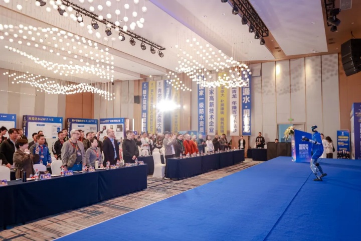 第九届青龙节 (3).jpg