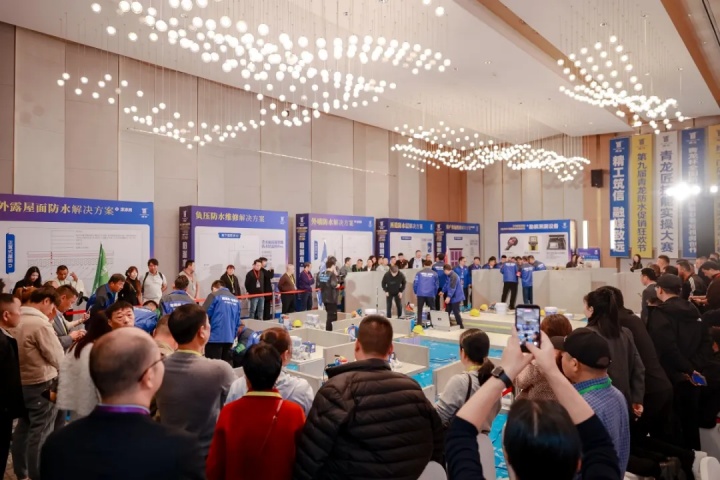 第九届青龙节 (5).jpg